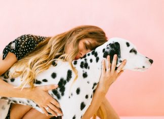 How to Be a Hero: 2nd Annual National Rescue Dog Day